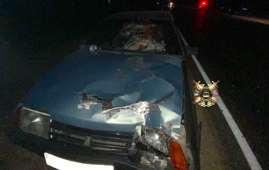 Водитель легковушки сбил насмерть пешехода на дороге Краснодар – Кропоткин