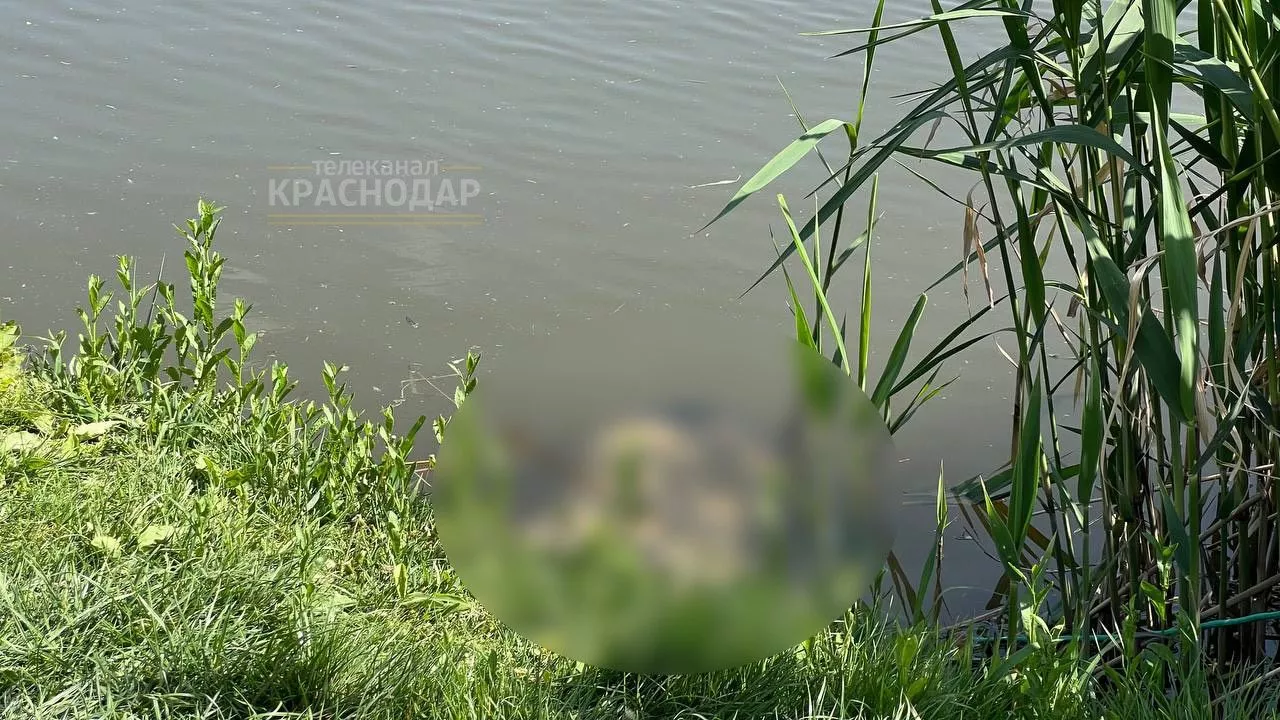 В краснодарском озере Карасун обнаружили тело мужчины