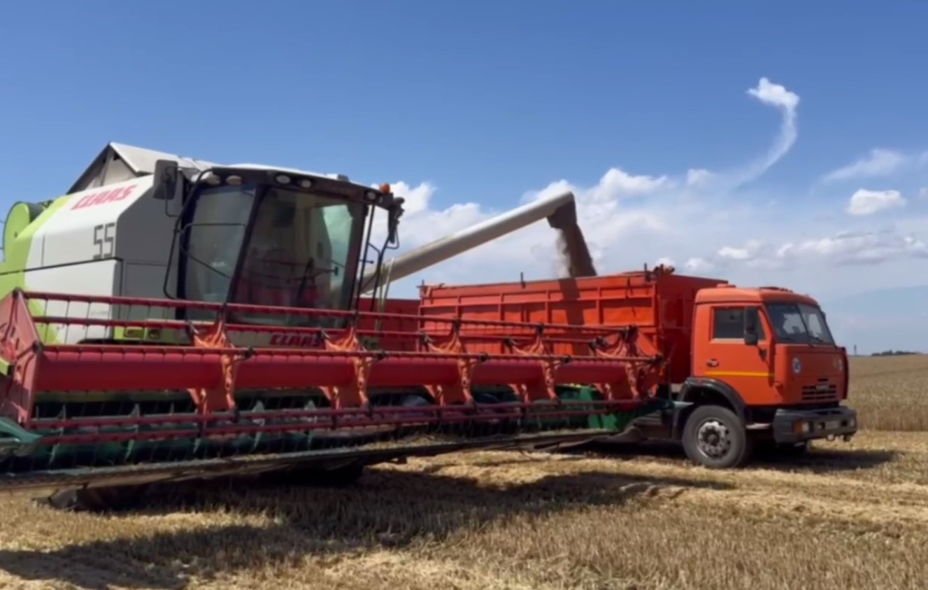 На Кубани намолотили первый миллион тонн зерновых