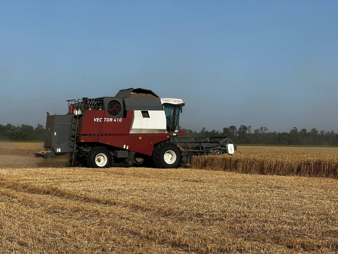 Более 2 миллионов тонн зерновых собрали на Кубани за первую неделю уборки